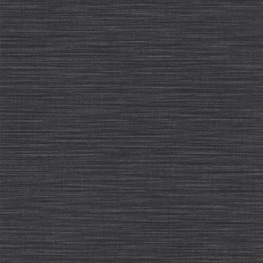 Caselio Color Box 2 69589790 Uni - czarna tapeta