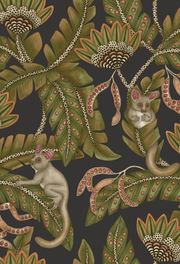 Cole & Son Ardmore - Jabula 119/7031 Bush Baby - tapeta lemurek myszaty