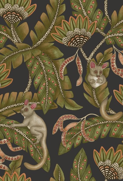 Cole & Son Ardmore - Jabula 119/7031 Bush Baby - tapeta lemurek myszaty