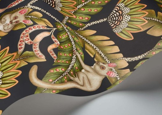 Cole & Son Ardmore - Jabula 119/7031 Bush Baby - tapeta lemurek myszaty