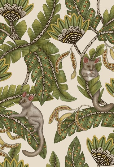 Cole & Son Ardmore - Jabula 119/7032 Bush Baby - tapeta lemurek myszaty