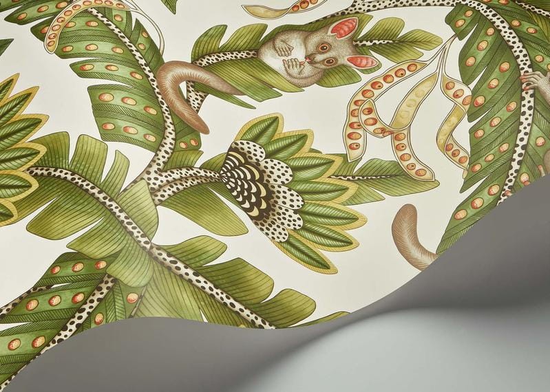 Cole & Son Ardmore - Jabula 119/7032 Bush Baby - tapeta lemurek myszaty