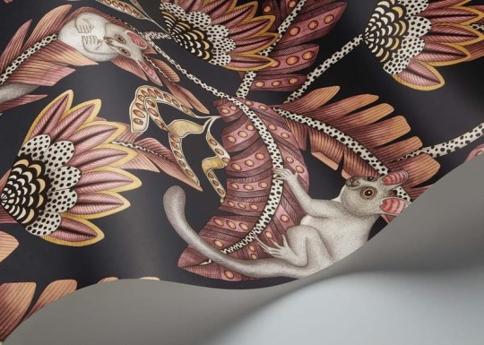 Cole & Son Ardmore - Jabula 119/7033 Bush Baby - tapeta lemurek myszaty