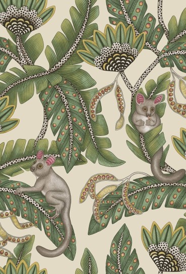 Cole & Son Ardmore - Jabula 119/7035 Bush Baby - tapeta lemurek myszaty