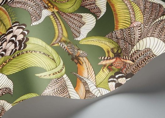 Cole & Son Ardmore - Jabula 119/1003 Hoopoe Leaves - tapeta dudek