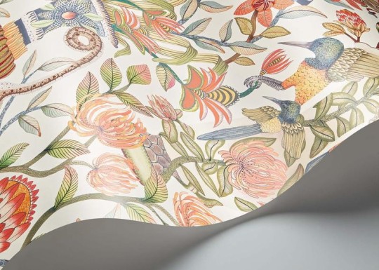 Cole & Son Ardmore - Jabula 119/10043 Protea Garden - tapeta ogród