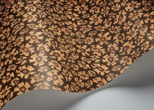 Cole & Son Ardmore - Jabula 119/4019 Savanna Shell - tapeta żółw