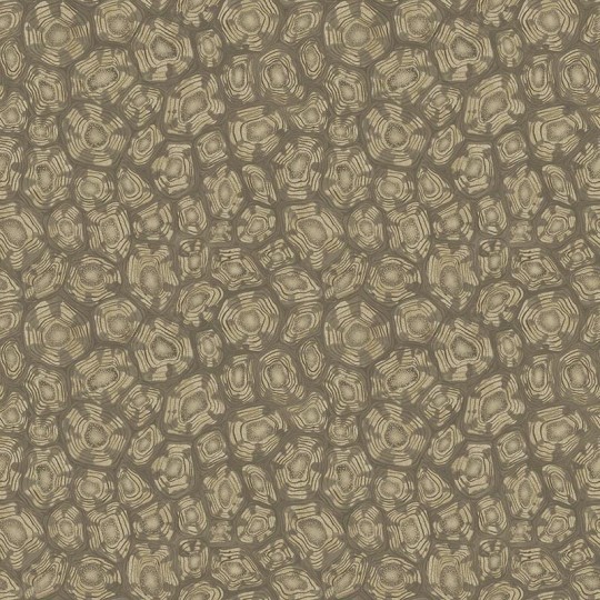 Cole & Son Ardmore - Jabula 119/4020 Savanna Shell - tapeta żółw