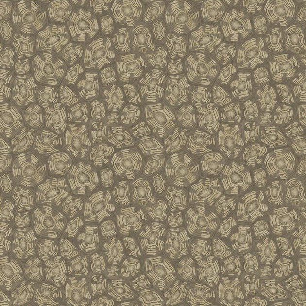 Cole & Son Ardmore - Jabula 119/4020 Savanna Shell - tapeta żółw