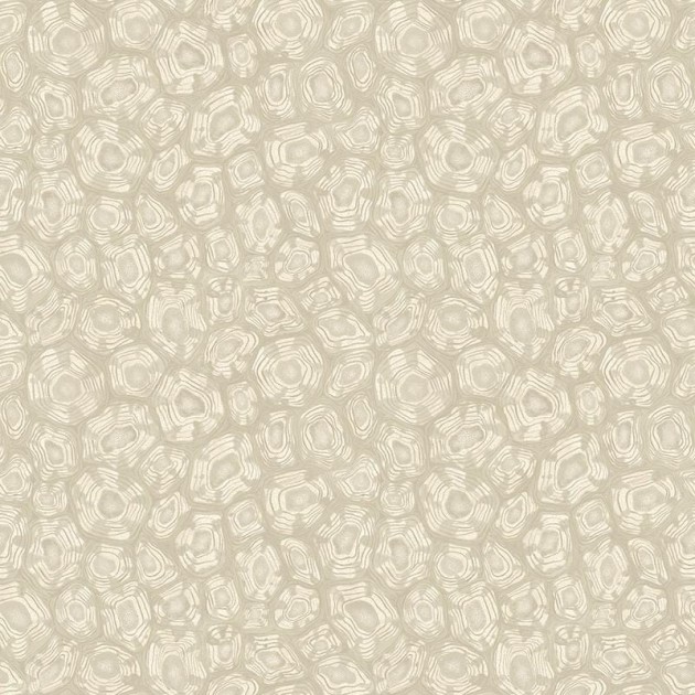 Cole & Son Ardmore - Jabula 119/4021 Savanna Shell - tapeta żółw