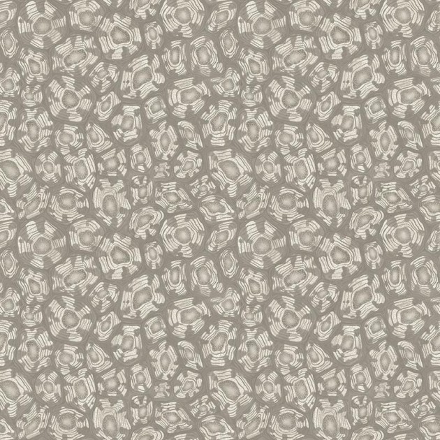 Cole & Son Ardmore - Jabula 119/4022 Savanna Shell - tapeta żółw