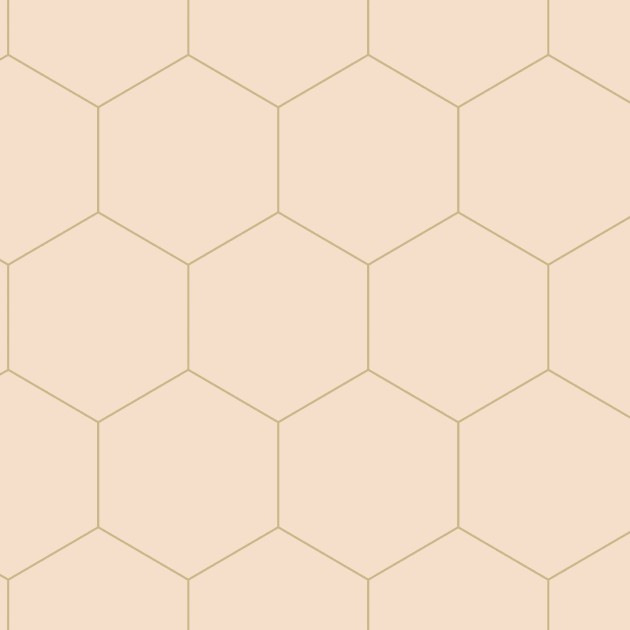 Tapeta Esta Art Deco 139226 Honeycomb