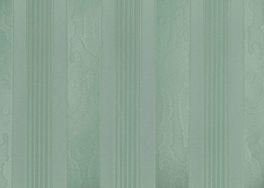 Tapeta Sirpi Italian Velour 25025 Riga Liuni