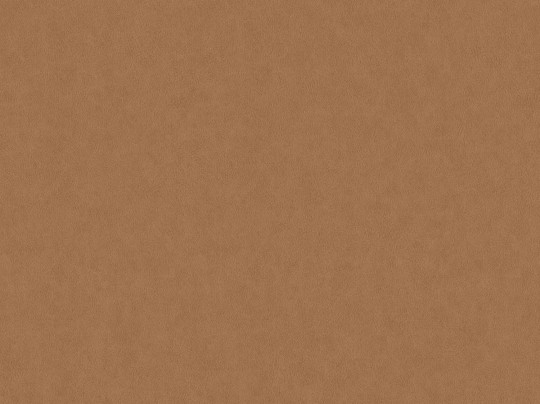 Tapeta BN Grand Safari 220505 Leather