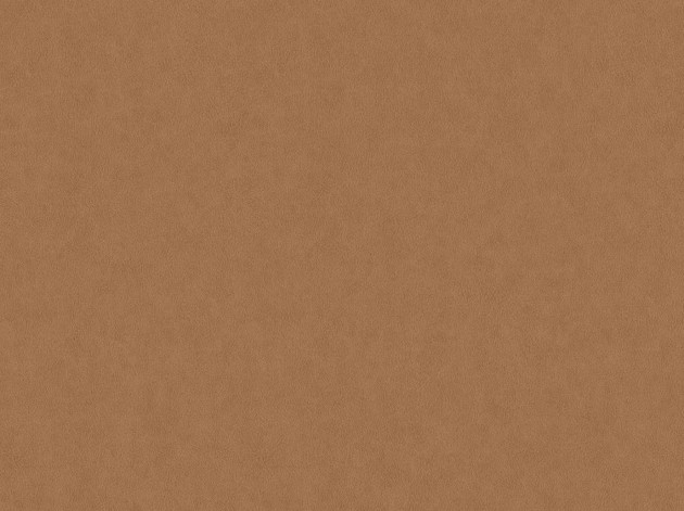 Tapeta BN Grand Safari 220505 Leather