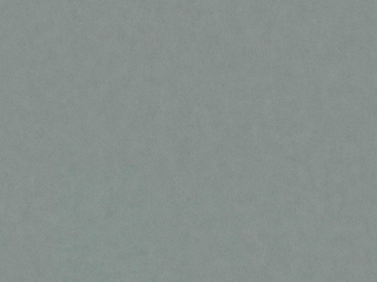 Tapeta BN Grand Safari 220508 Leather