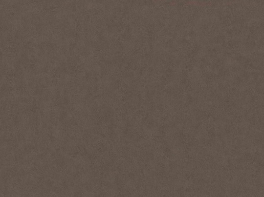 Tapeta BN Grand Safari 220509 Leather