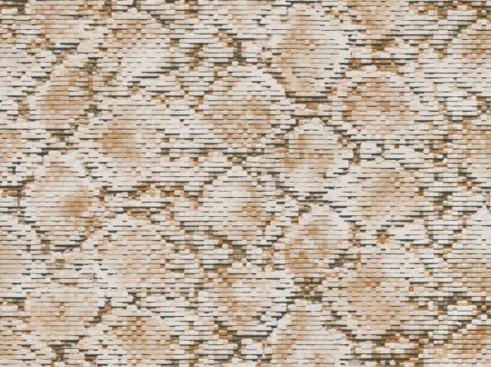 Tapeta BN Grand Safari 220542 Scaly Python