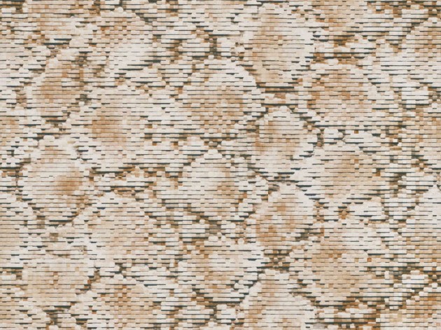 Tapeta BN Grand Safari 220542 Scaly Python