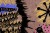 210b3a5ba984515944b50bd24eb90ccd