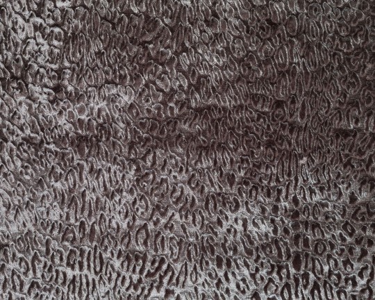 Dutch Walltextile Company 18 Luxury Safari Bobcat - tapeta w aksamitne cętki