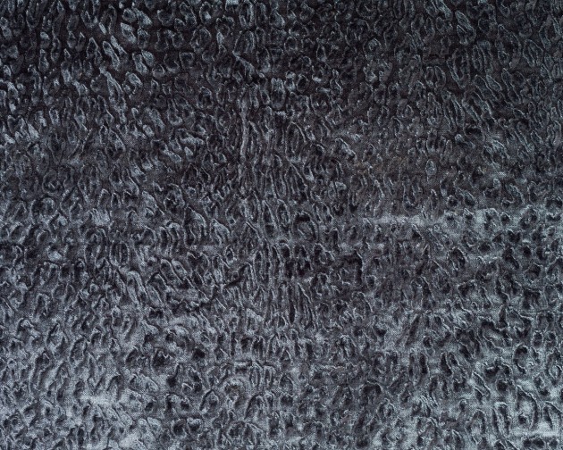 Dutch Walltextile Company 34 Luxury Safari Bobcat - tapeta w aksamitne cętki