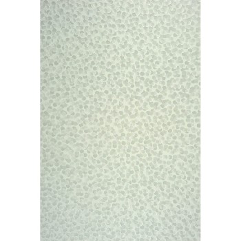 7bc2e91d7bd8d06ac08b691fa9294ca4