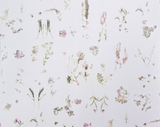Tapeta Dutch Walltextile Company Bloom Inks door Bo Reudler 00 Combined-motive - tapeta kwiaty