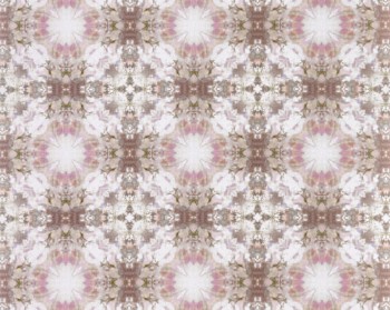 bf17ced7d32820998d246534b2b7be8d
