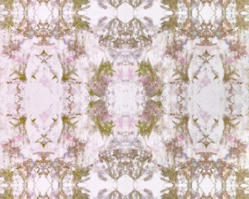 9a6ad49729b2c62ad84730128d785aae