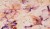 55a17099bc5c5627465b4dc6d348c31a