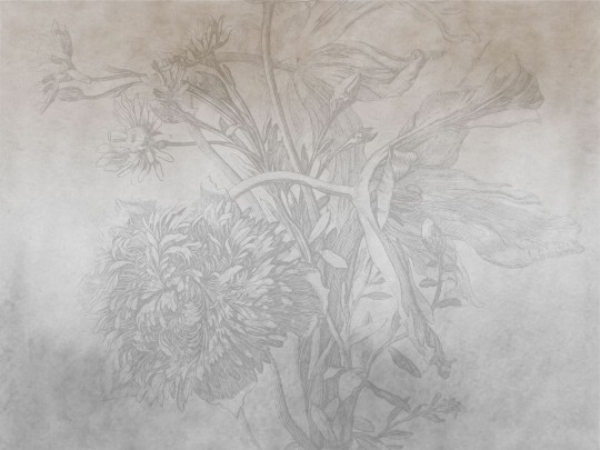 Wall Art Grey Ombre Flower - mural subtelne kwiaty