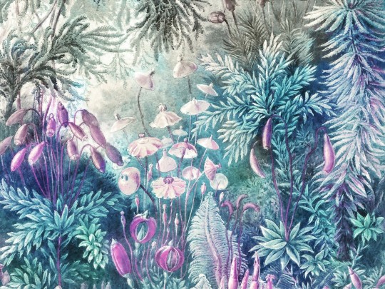 Wall Art Fairytale Blue - mural las