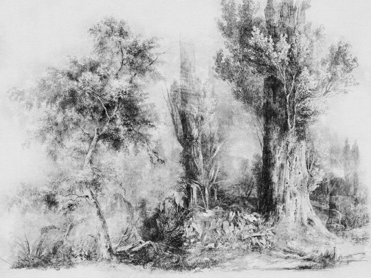 Wall Art Calm Black and White - mural drzewa