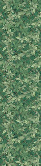 Wall Art Edera Dark Green - mural liście