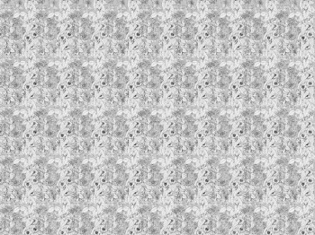2c4110a3b4da02fcba3384a00e86e366