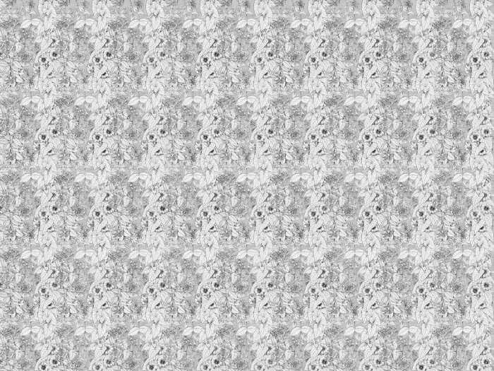 2c4110a3b4da02fcba3384a00e86e366