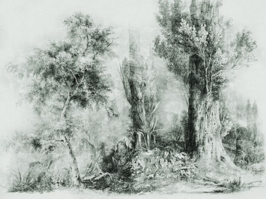 Wall Art Calm Green - mural drzewa