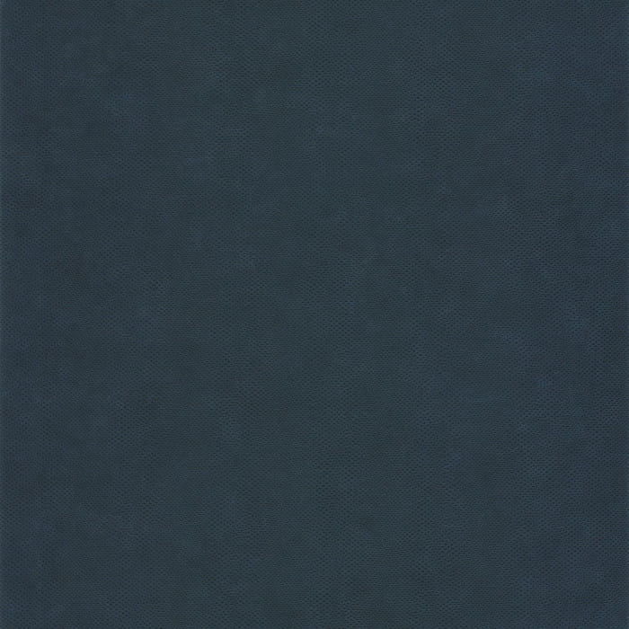 d965935abc85d9fcd101fa41557875aa