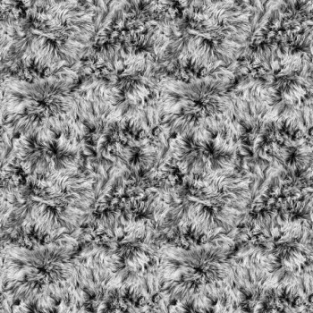41d865a23ef57e4e294a3dbaab6741a5