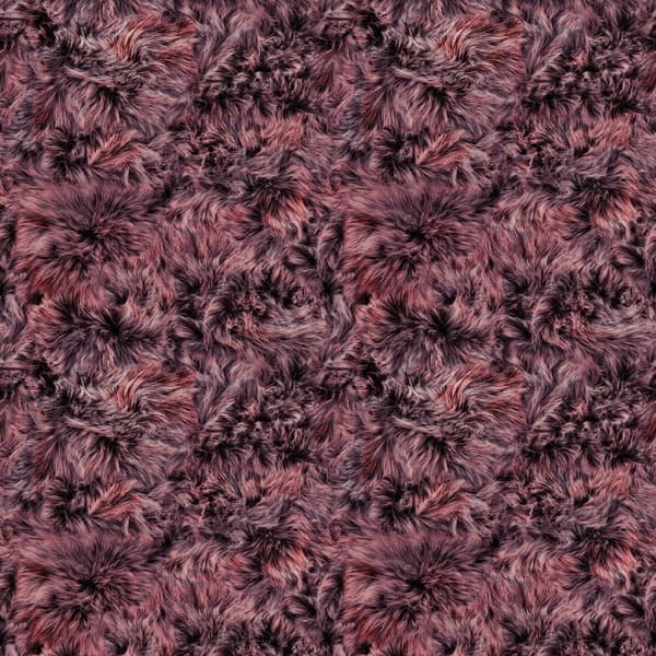 165acec79a0407499c9c233a7c90ecd9