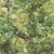 971b1ac78a5888d54ad778984dfbdeef