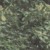 da17f9425e0e7dc8f80ba0fba51b0d4b