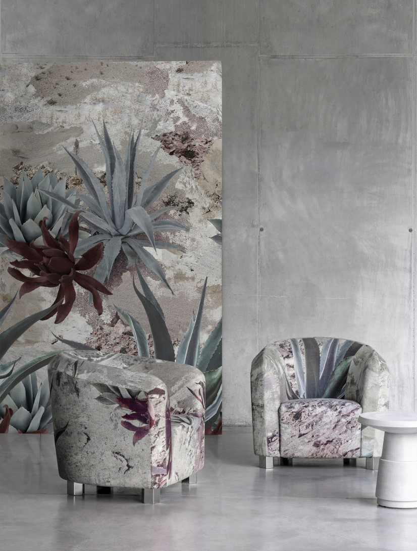 Tapeta Wall & Deco Diesel ED_DSDF2102 Desert Flower - tapeta kwiaty pustyni