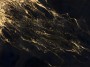 04-fortune400x300cm.jpg