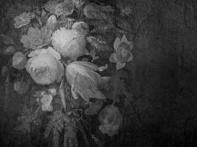 Tapeta Wall Art Noire Boudoir Grey - tapeta kwiaty