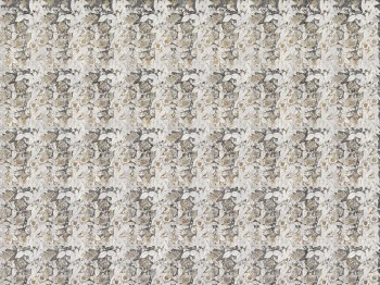 c37efd39bfd482fc412f009adc4a9ee1