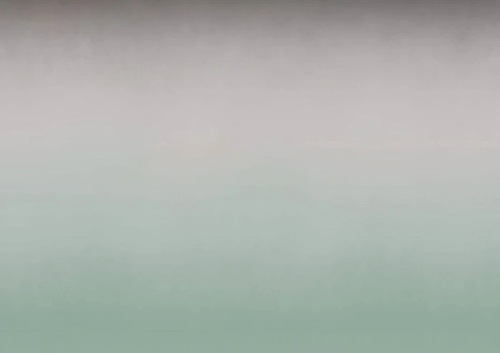 c98e35d17216dadb69fc934471662e1a