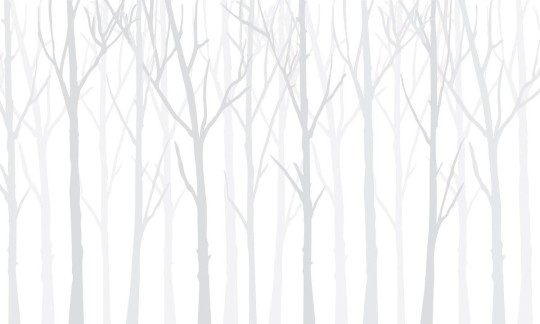 Wall Art Originals Zimowy las white - mural drzewa