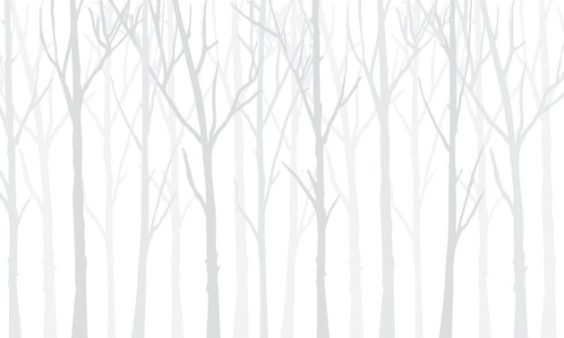 Wall Art Originals Zimowy las white - mural drzewa